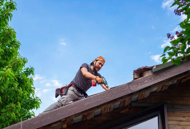 Fast & Reliable Emergency Roof Repairs in Wayne, IL